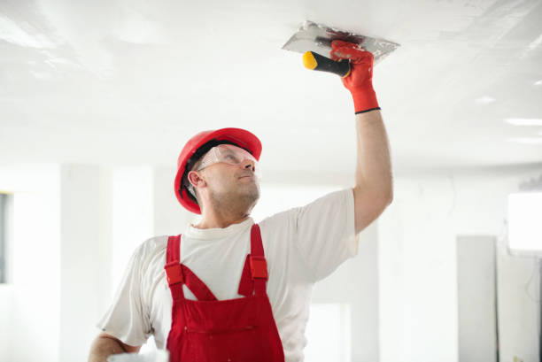 Best Repainting for Renovations  in Glencoe, MN